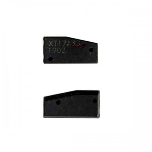 ID46 Chip for XHORSE VVDI Key Tool/VVDI2 46 Transponder Copy Function 10pcs/lot [Can only Copy, Can not do Generate]